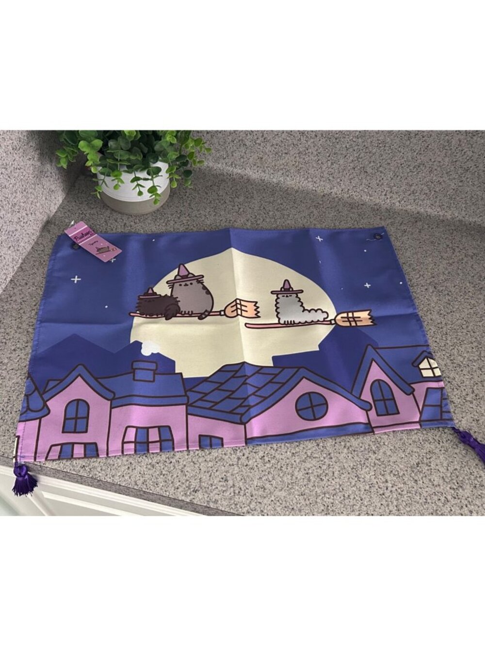Pusheen Box Exclusive Witchy Cat Tapestry Tassels & Broomstick 2024 Edition